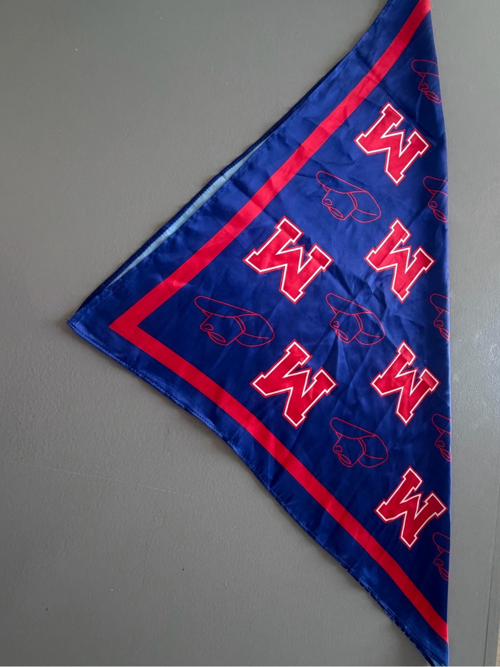 Ole Miss Red and Blue Scarf